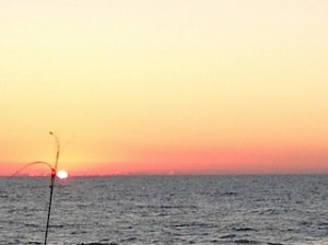 Savor the Sunsets!